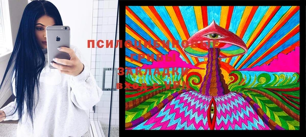 молекула духа Абинск