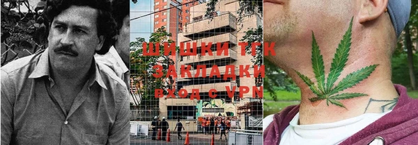 молекула духа Абинск