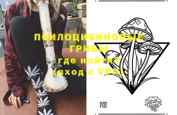 2c-b Абдулино