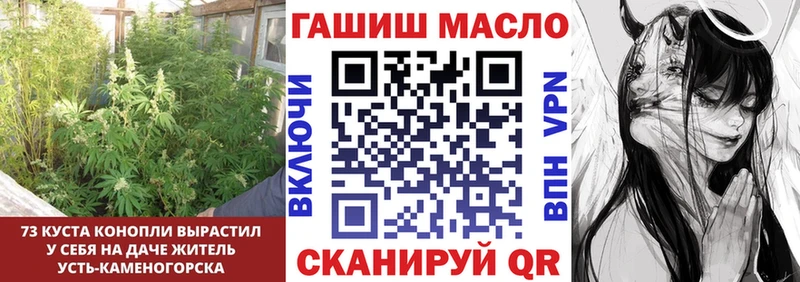 купить наркотики сайты Щёкино hydra ссылки Дистиллят ТГК THC oil